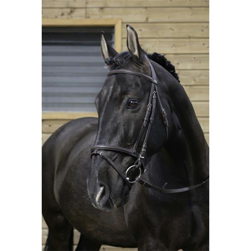 Kožená uzdečka Riding World, černá
