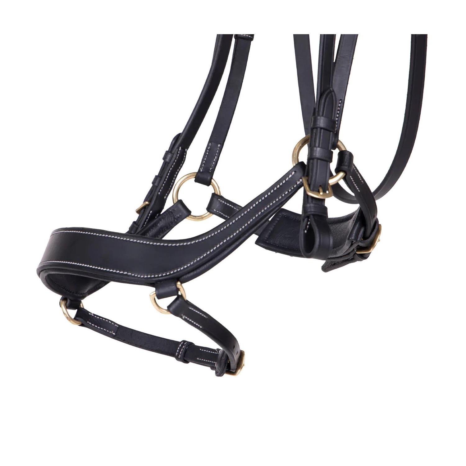 Anatomická uzdečka QHP Devi, černá