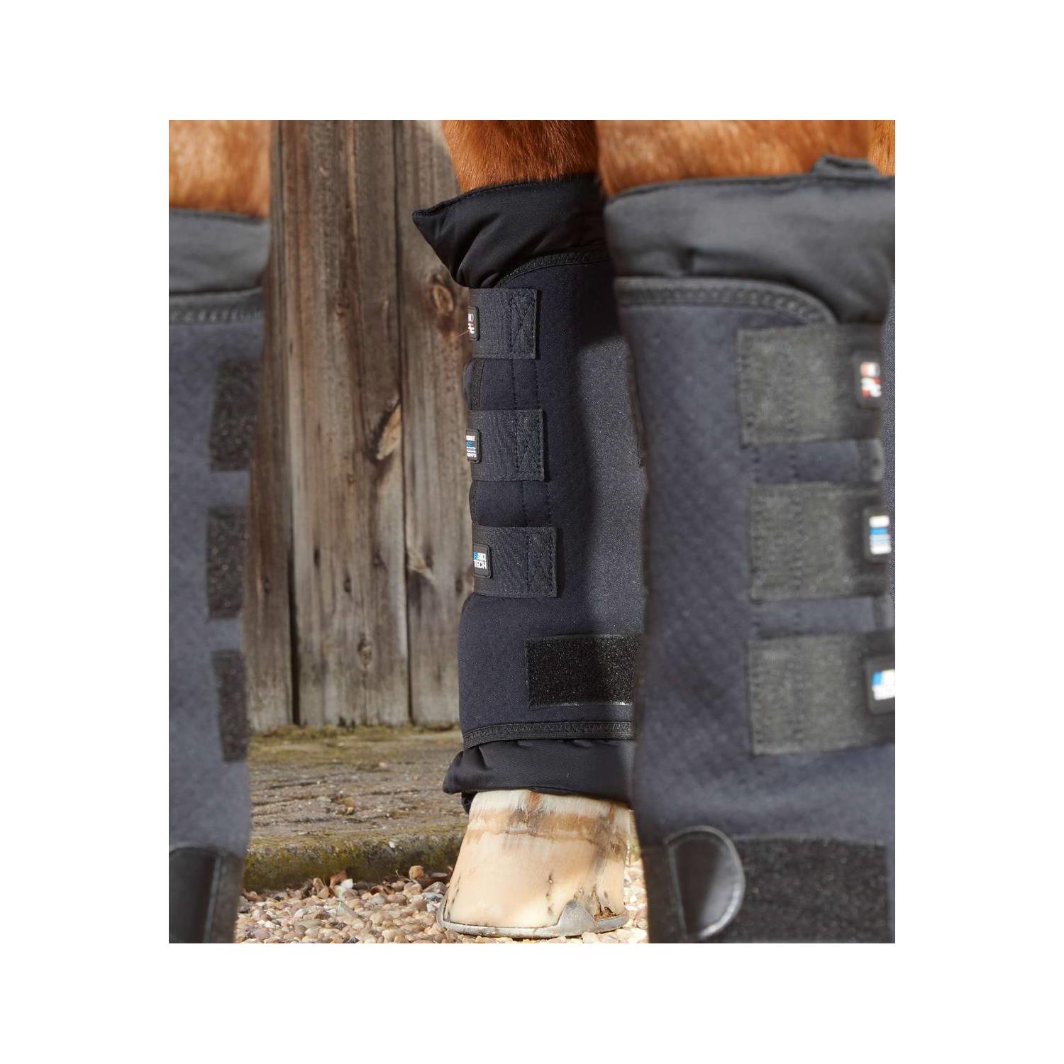 Stájové (zateplovací) kamaše Premier Equine, černé, pár