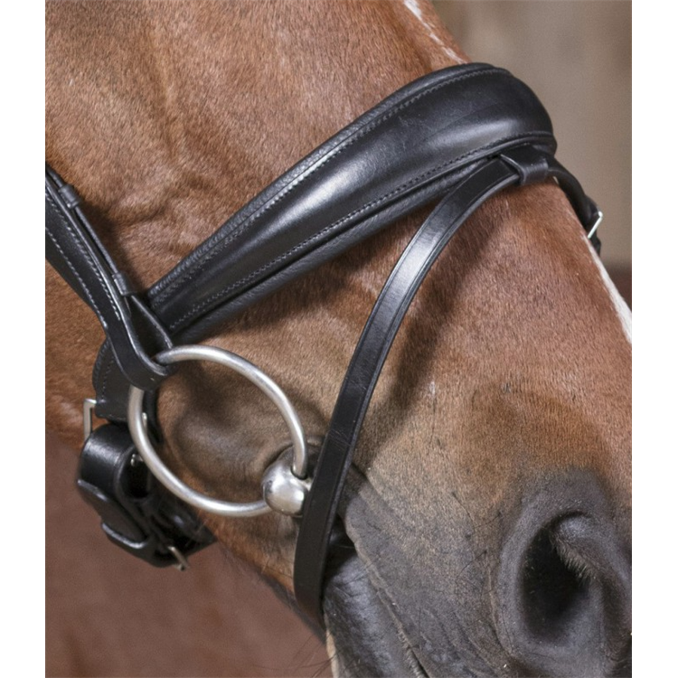 Kožená uzdečka Norton Pro Strass, černá