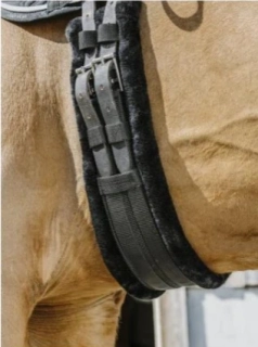 Drezurní podbřišník Norton s beránkem, černý