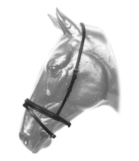 Anglický kožený nánosník Kentaur, černý, vel. Full