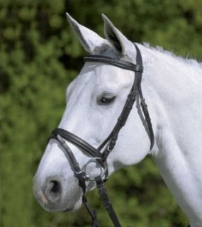 Kožená uzdečka ELT Diamond, černá