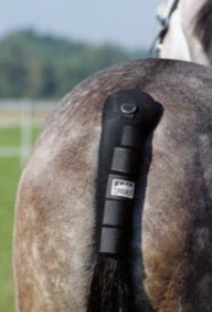 Neoprenový chránič na ocas Eskadron, černý