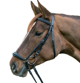 STAR uzdečka Hannover, shetty