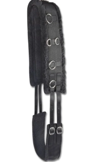 Lonžovací obřišník Teddy