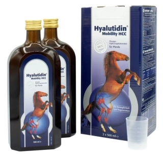 Hyalutidin Mobility HCC 2 x 500 ml