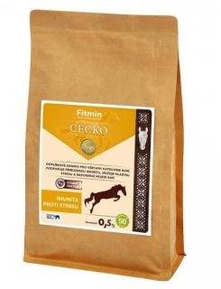 Fitmin Vitamin C 500g