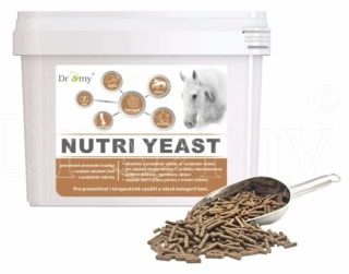 Nutri Yeast 6 kg Dromy
