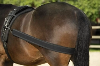 Elastický tréninkový pás