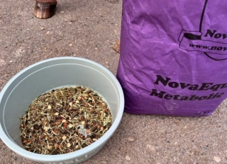 NovaEqui Metabolic 15kg