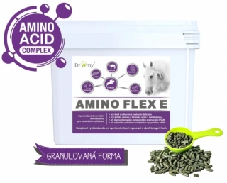 Dromy Amino Flex E 6 kg