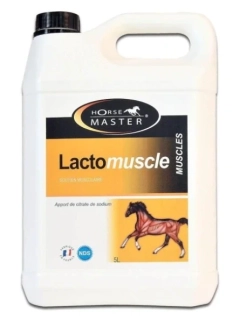 Horse Master Lactomuscle 5l