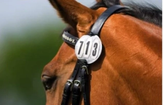 Závodní čísla Ekkia, s gumičkou - 3- místné