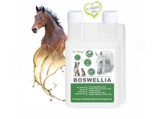 Doplněk pro koně Dromy Boswellia liquid, 1l