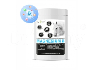 Dromy Magnesium B 1kg - hořčík, klid, stres