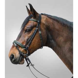 Kožená uzdečka ELT Diamond, černo-zelená