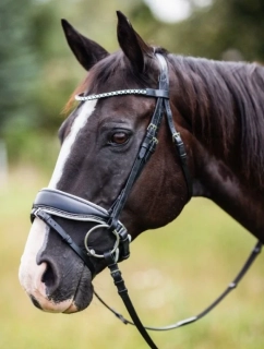 Kožená uzdečka Crystal Dressage