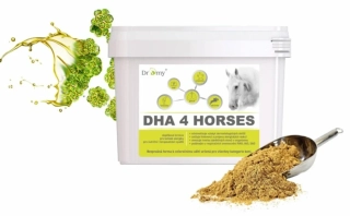 Doplněk pro koně Dromy DHA 4 Horses, 3 kg