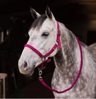 Ohlávkový set Horze Chicago, vínový