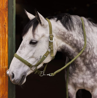 Ohlávkový set Horze Chicago, zelený