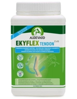 AUDEVARD Ekyflex Tendon EVO 900g