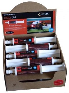 K prevenci bolesti svalů Horse Master DMG Gel