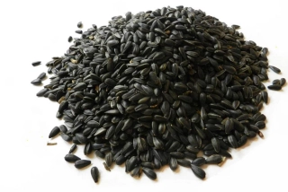 Slunečnice černá 10 kg