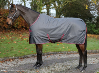 Stájová deka Bucas Freedom AW 2025/25, 150 g, šedá