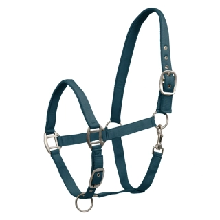 Ohlávka pro koně Waldhausen AW 2025/26 Satin, petrol