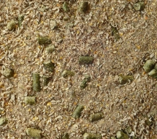 MJM Agro krmivo pro koně Senior Mash 20kg (doprodej)