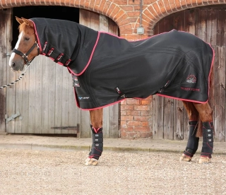 Deka Premier Equine Nano-Tec, černá