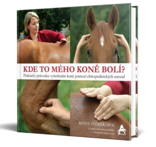 Kniha Kde to mého koně bolí, Renee Tucker