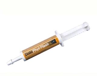 Horse Master DoloPhyt Flash 30ml