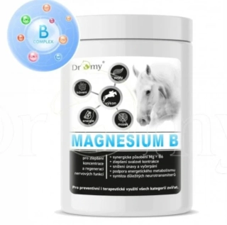 Dromy Magnesium B 3kg - hořčík, klid, stres
