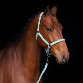 Hříběcí nylonová ohlávka HVP Nena, SS 26 - aqua sky