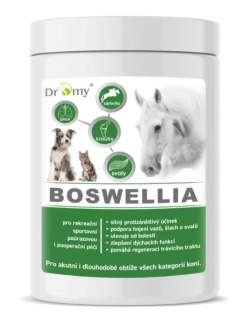Dromy BOSWELLIA FORTE 750 g