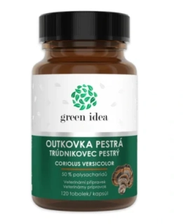 Green idea Outkovka pestrá - tobolky