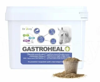 Dromy GastroHeal MASH 6 kg