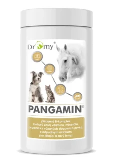 Dromy Pangamin 2000 tablet