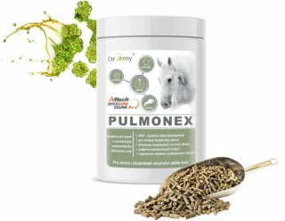 Dromy Pulmonex 1500 g