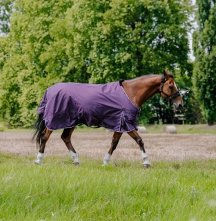 Deka výběhová Equitème Tyrex Aisance 600D, 150 g