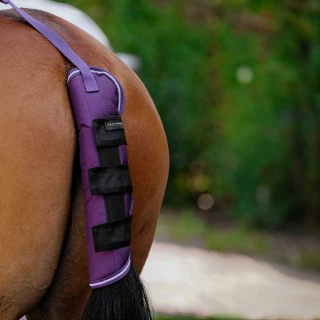Chránič ocasu Equitheme Tyrex 600D, fialový