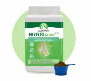 Audevard EKYFLEX ARTHRO EVO