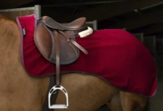 Bederní fleecová deka EquiThéme Teddy, vínová, 125 cm
