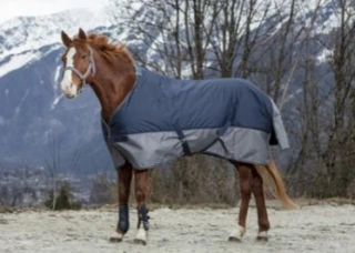 Nepromokavá deka Equitheme Tyrex 600D, 150g, modrá