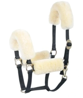 Beránek na ohlávku Merino, sada