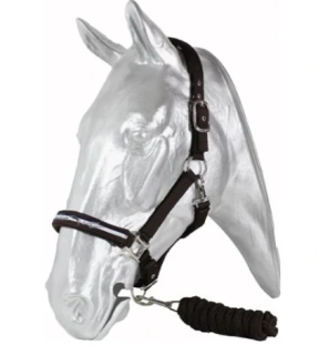 Ohlávkový set Kentaur, hnědý