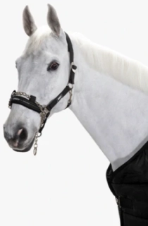 Ohlávka Eskadron Control, černá s řetízkem