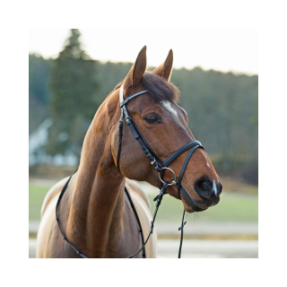 Kožená uzdečka Horze Weston, černá - vel. Shetty